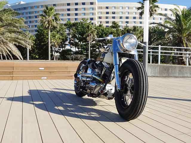 FATECH Custom Harley Davidson "CYCLOPS"