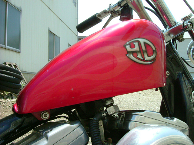 FATECH Custom Harley Davidson "1996 XL1200S"