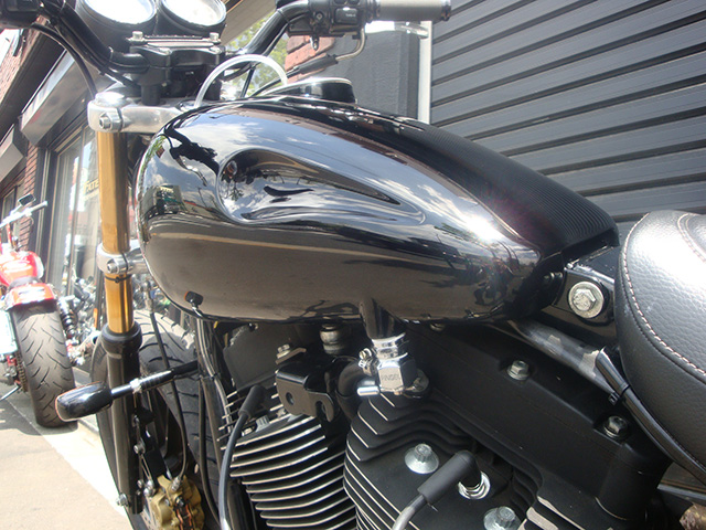FATECH Custom Harley Davidson "1999 FXDX"