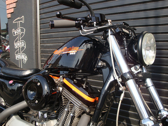 FATECH Custom Harley Davidson "2000 XL1200S"