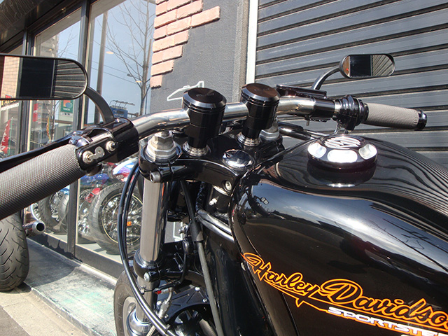 FATECH Custom Harley Davidson "2000 XL1200S"