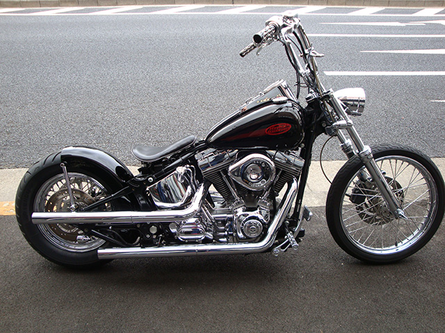 2002 FXST