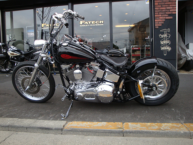 FATECH Custom Harley Davidson "2002 FXST"