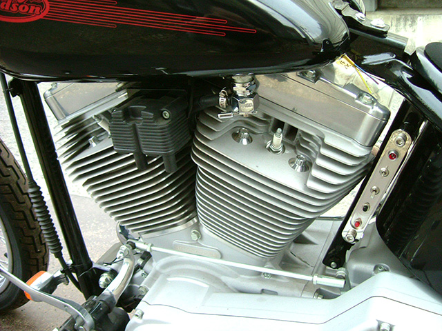 FATECH Custom Harley Davidson "2005 FXST"