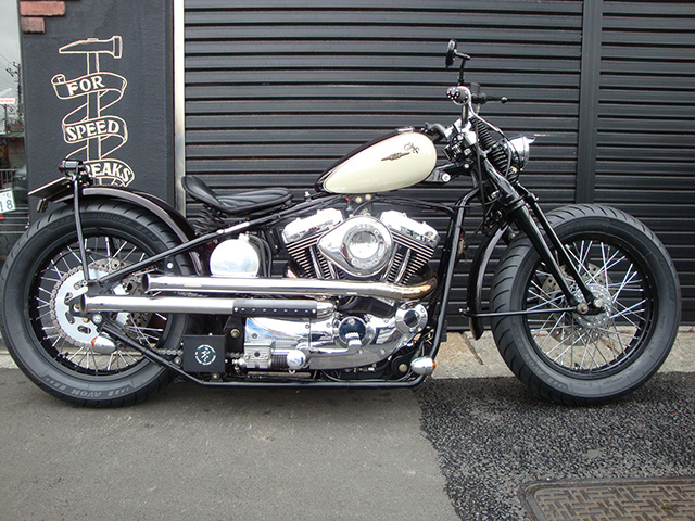 2006 Road Hopper