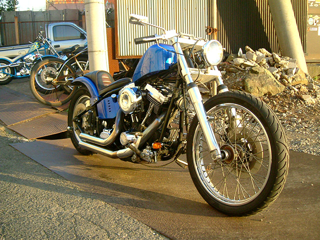 FATECH Custom Harley Davidson "BEAST"