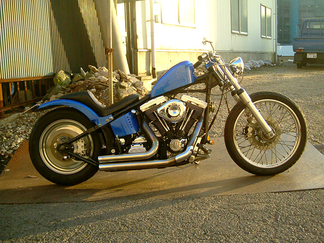 FATECH Custom Harley Davidson "BEAST"