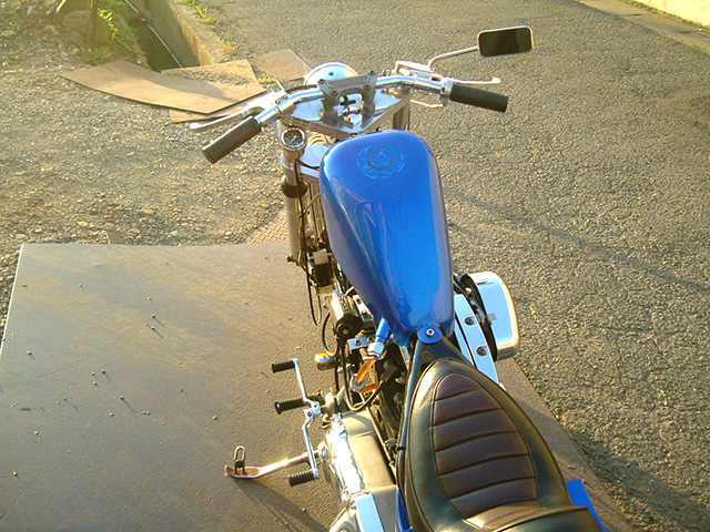 FATECH Custom Harley Davidson "BEAST"