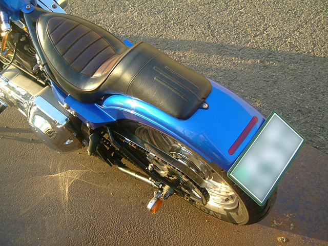 FATECH Custom Harley Davidson "BEAST"