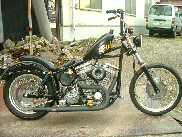 EVIL FIST
