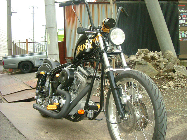 FATECH Custom Harley Davidson "EVIL FIST"