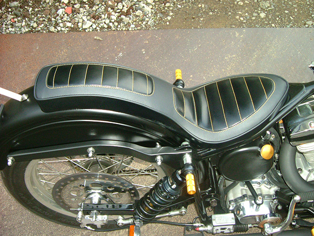 FATECH Custom Harley Davidson "EVIL FIST"