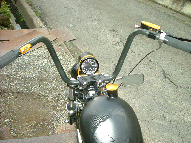 FATECH Custom Harley Davidson "EVIL FIST"