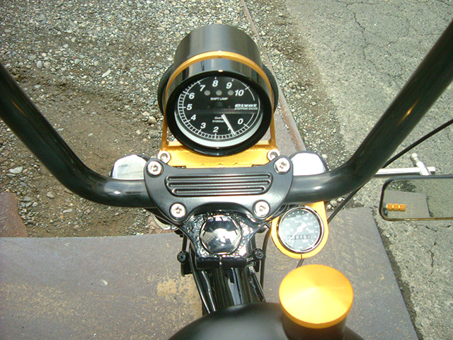 FATECH Custom Harley Davidson "EVIL FIST"
