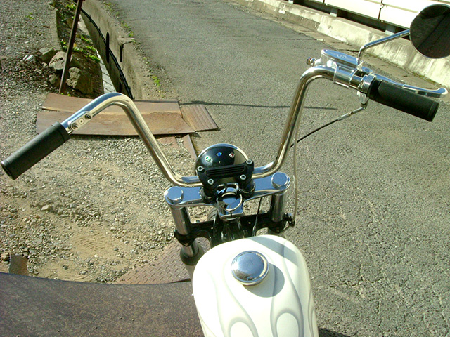 FATECH Custom Harley Davidson "FATECH modified other Custom02"