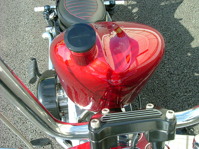 FATECH Custom Harley Davidson "GLOW GLIDE"