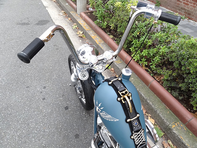 FATECH Custom Harley Davidson "HAYATE"