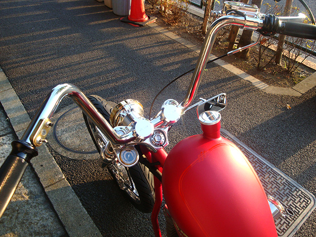FATECH Custom Harley Davidson "ROUGH NECK"
