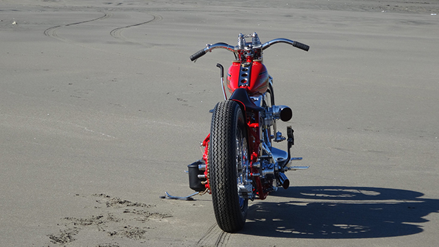 FATECH Custom Harley Davidson "SAND RACER"