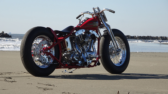 FATECH Custom Harley Davidson "SAND RACER"