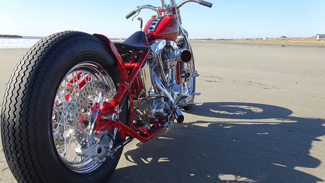 FATECH Custom Harley Davidson "SAND RACER"