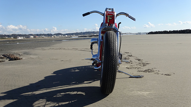 FATECH Custom Harley Davidson "SAND RACER"