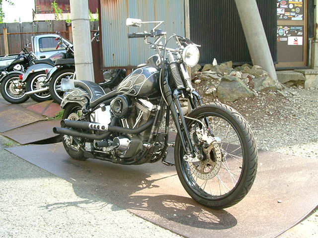 FATECH Custom Harley Davidson "SLIDER"