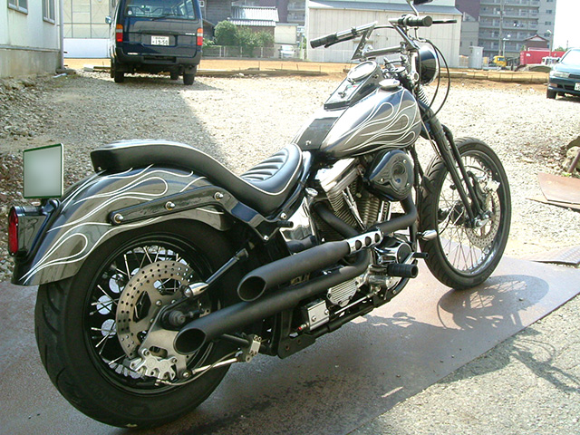 FATECH Custom Harley Davidson "SLIDER"