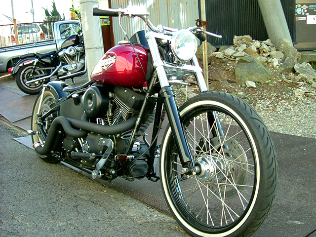 FATECH Custom Harley Davidson "SMASHING BOB"