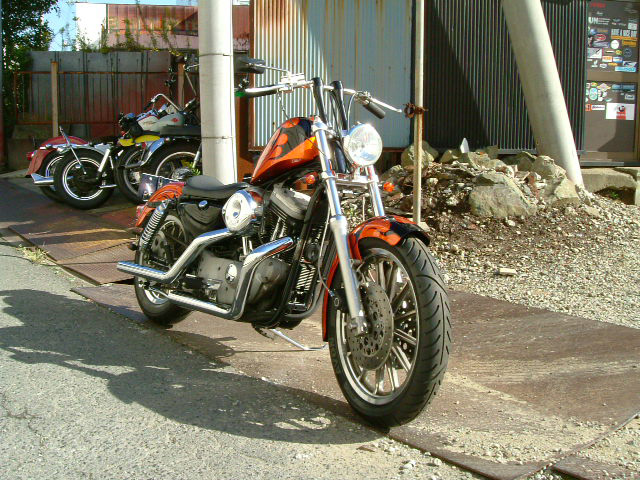 FATECH Custom Harley Davidson "1999 XL1200"