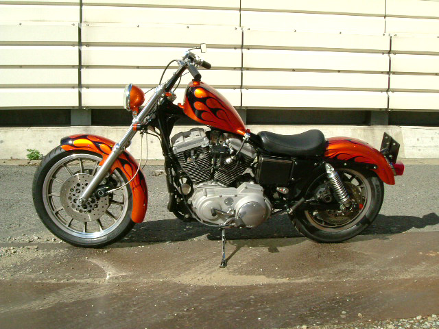 FATECH Custom Harley Davidson "1999 XL1200"