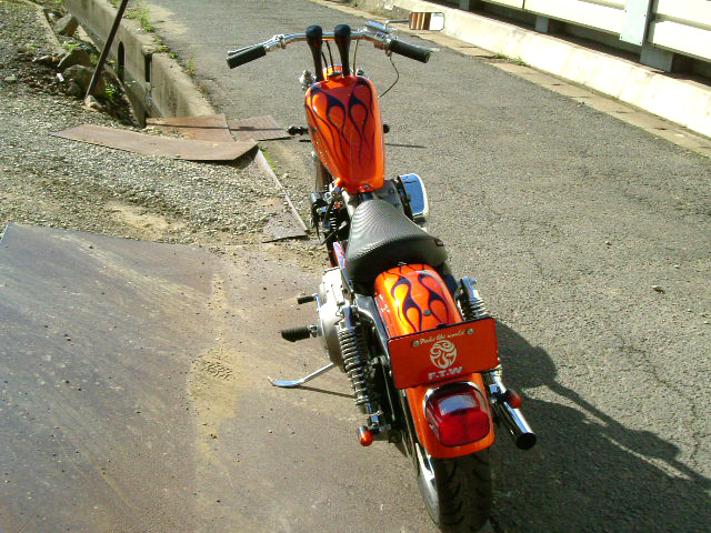 FATECH Custom Harley Davidson "1999 XL1200"