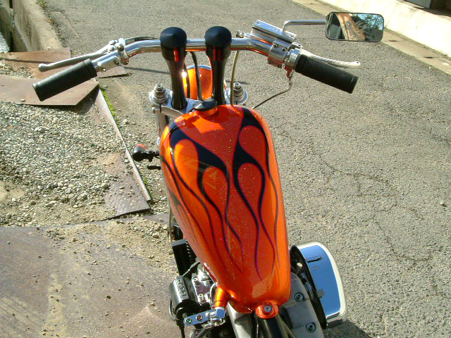 FATECH Custom Harley Davidson "1999 XL1200"